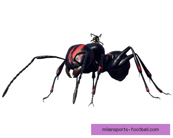 掌握最新体育赛事动态轻松提高竞猜投注命中率秘诀